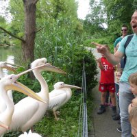 Narresume-Ausflug Basler Zoo